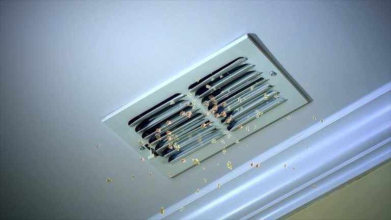 Best Affordable HVAC Duct Cleaning  in Una, WA