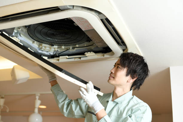 Best Air Duct Mold Removal  in Una, WA